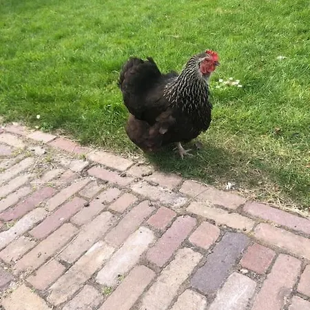 Voor Twee Personen * Twisk