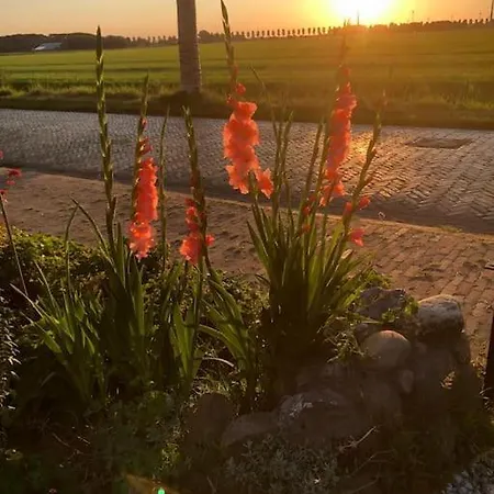 Apartamento Voor Twee Personen